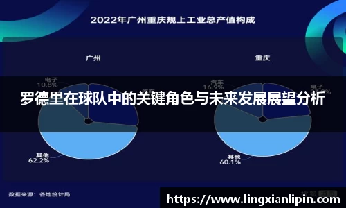 罗德里在球队中的关键角色与未来发展展望分析