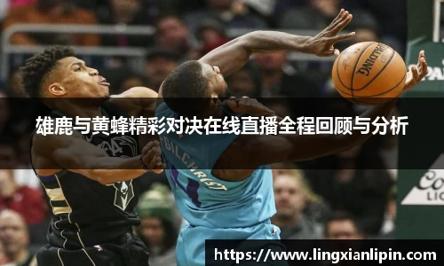 雄鹿与黄蜂精彩对决在线直播全程回顾与分析