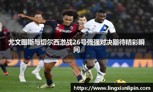 hth华体会体育