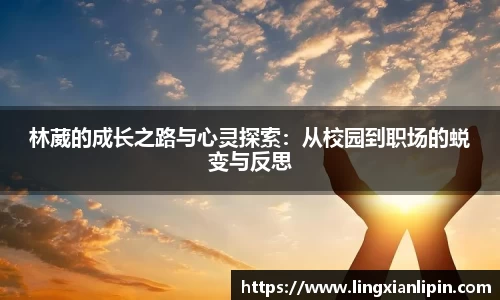 hth华体会官网